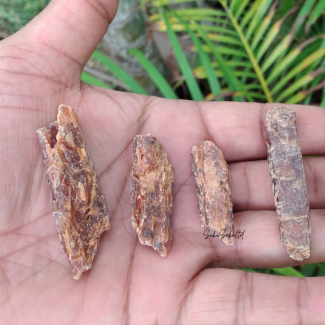 Natural Orange Kyanite Raw Blades